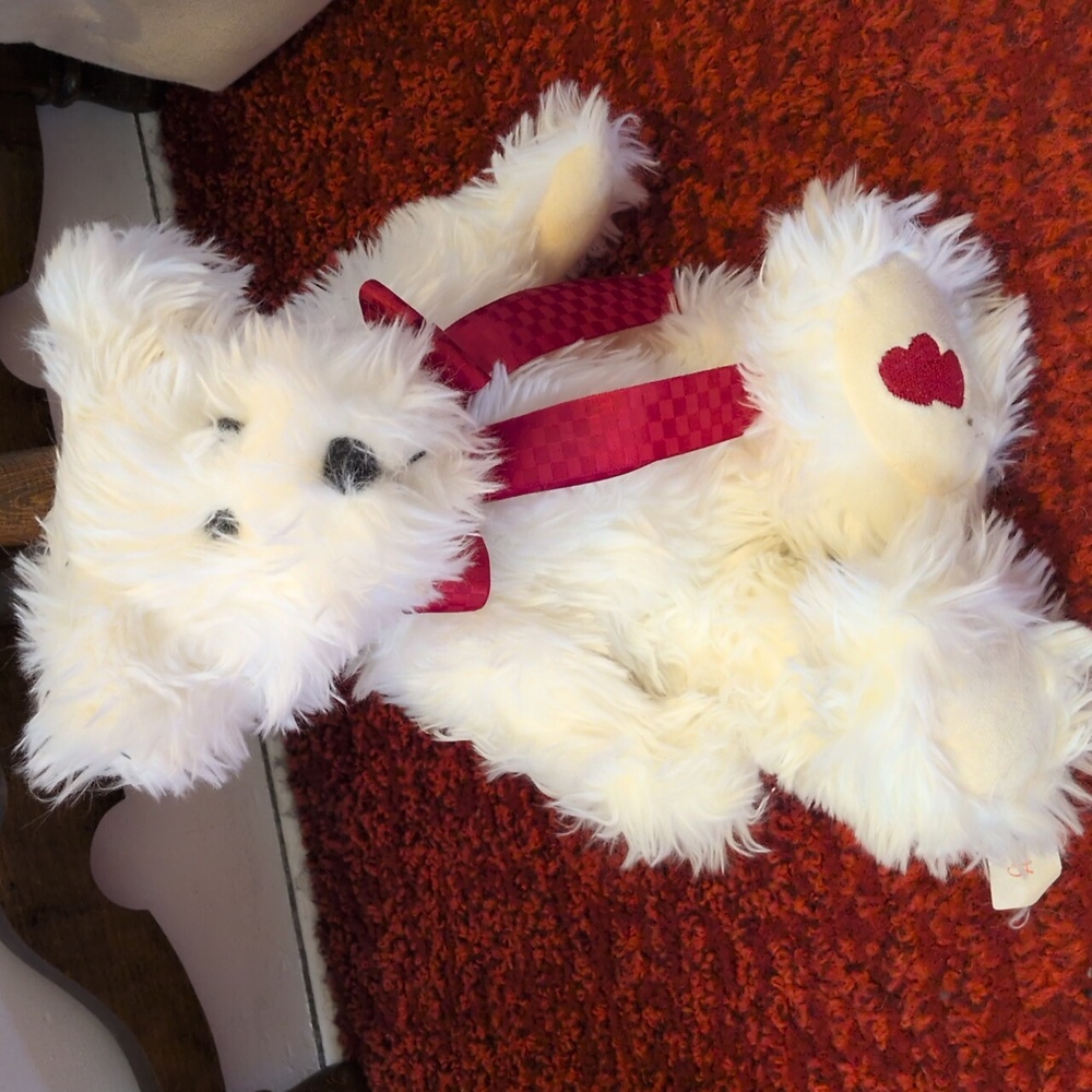White Teddy Bear with Red Bow